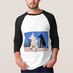 Camiseta Mantenha os olhos sobre as estrelas e os pés sobre