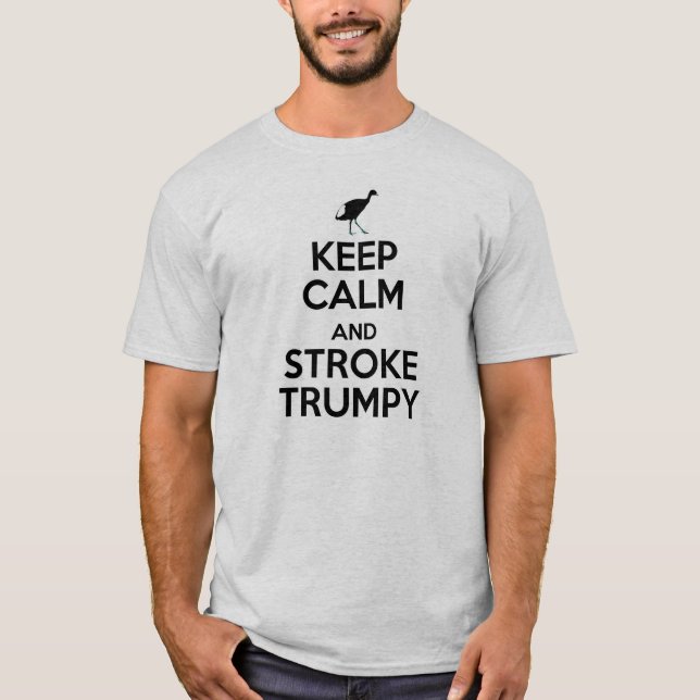 CAMISETA MANTENHA TRUMPY CALMO (Frente)