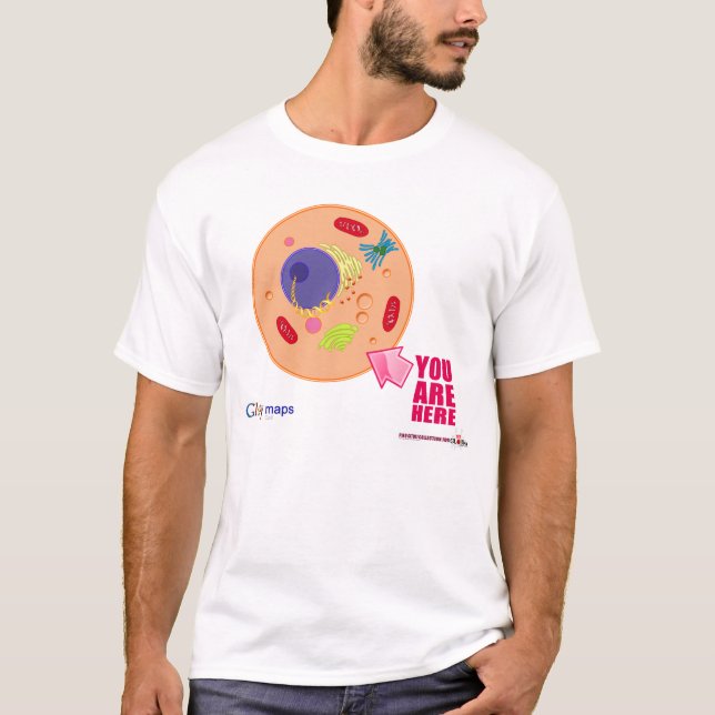 Camiseta Mapas de Globy (Frente)