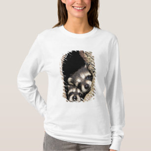 Camiseta Mapeh guaxinins em cavidade de árvore Procyon