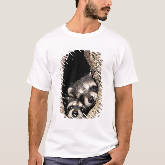 Camiseta Mapehutes bebê em cavidade de árvore Procyon (Frente)