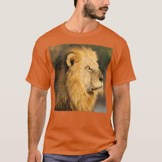 Camiseta Mapogo lion in his prime