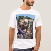 Máquinas desbastadoras de algodão 2003