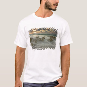 Camiseta Mar Caribe, Ilhas Cayman.  Ondas de queda 3