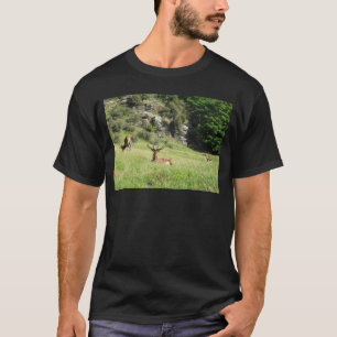Camiseta Marcas da Nova Zelândia