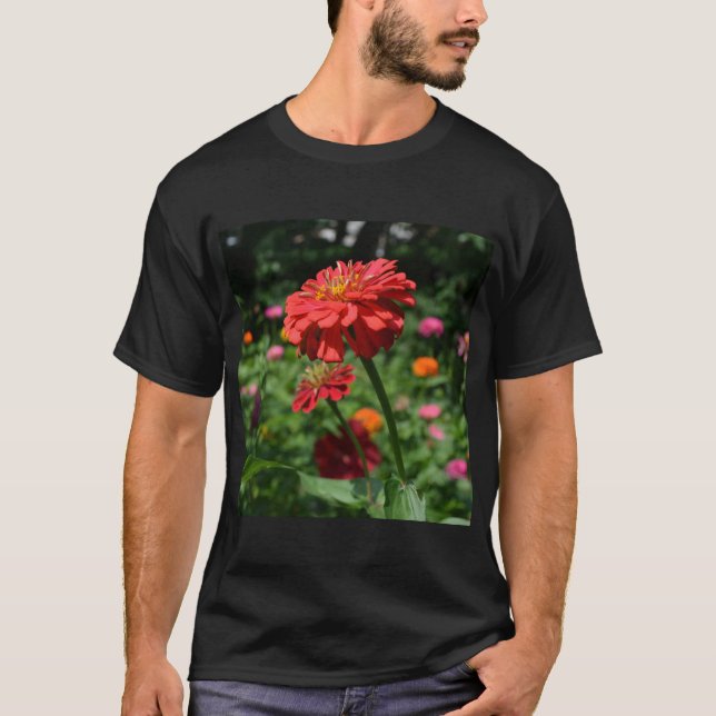 Camiseta Margarida de laranja, zina, cosmo, jardim de giras (Frente)