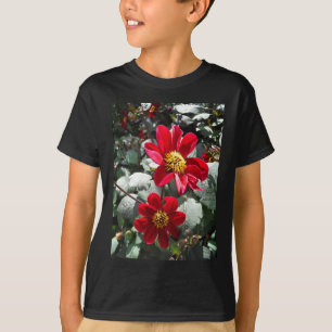 Camiseta margarida rosa-vermelha / flores das margaridas