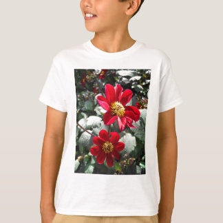 Camiseta margarida rosa-vermelha / flores das margaridas