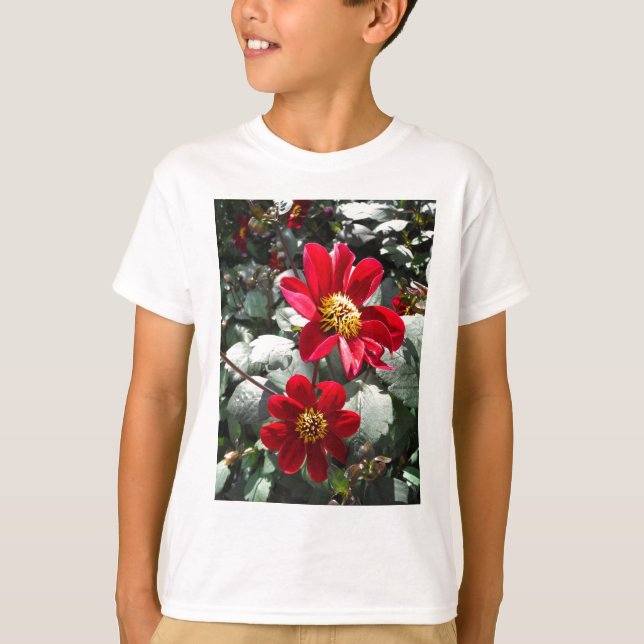 Camiseta margarida rosa-vermelha / flores das margaridas (Frente)