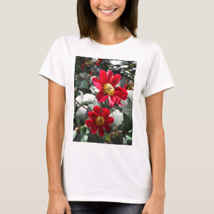 Camiseta margarida rosa-vermelha / flores das margaridas