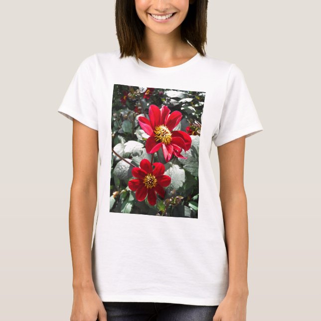 Camiseta margarida rosa-vermelha / flores das margaridas (Frente)