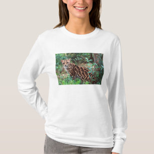Camiseta Margay, Leopardus wiedi, Nativo do México até