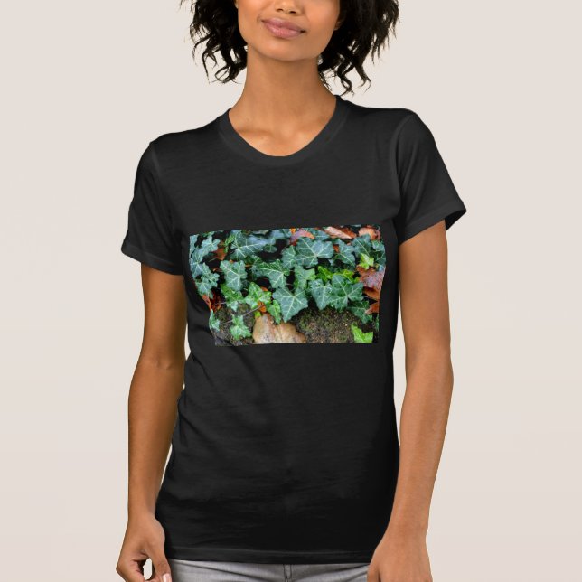 Camiseta Marinha verde elegante e pedra-de-campo (Frente)