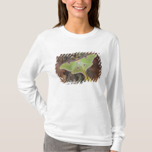 Camiseta Mariposa-da-lua