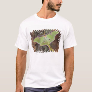 Camiseta Mariposa-da-lua