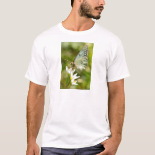 Camiseta Mariposa Verde em Falsa Alho Roupas e Presentes