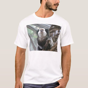 Camiseta Marmoset