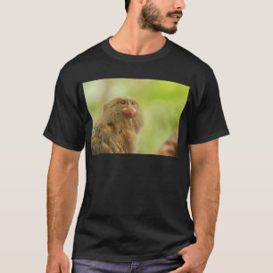 Camiseta Marmosets de pigmeu