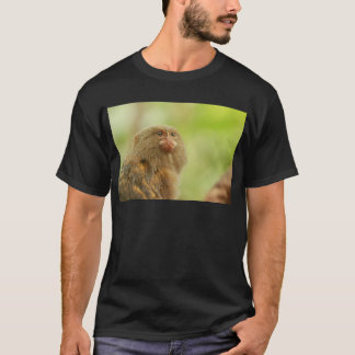 Camiseta Marmosets de pigmeu