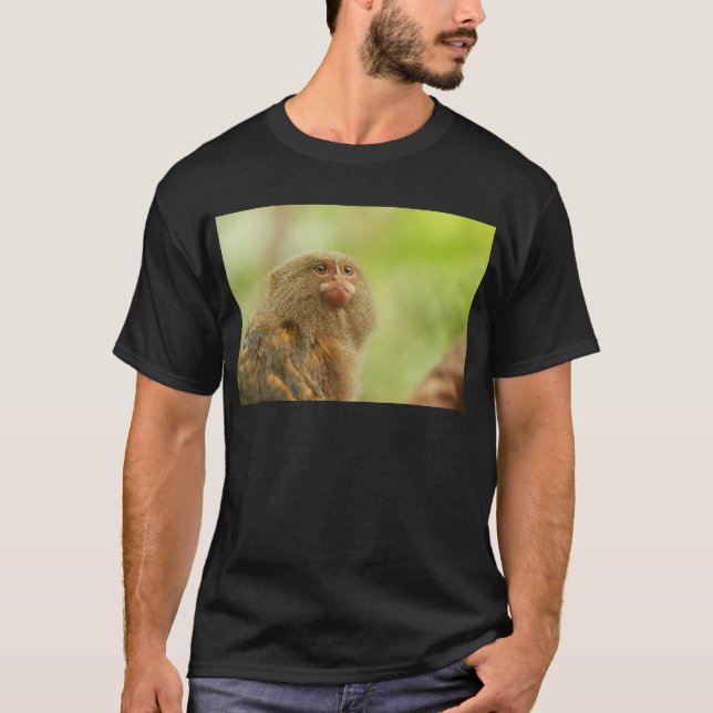 Camiseta Marmosets de pigmeu (Frente)