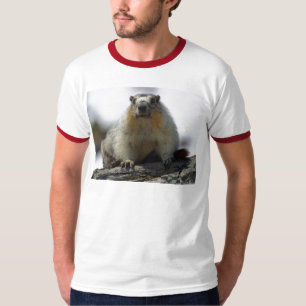 Camiseta Marmota inchada amarelo