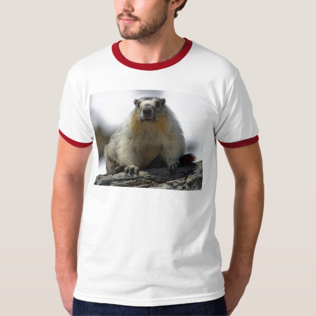 Camiseta Marmota inchada amarelo (Frente)