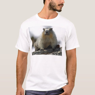 Camiseta Marmota inchada amarelo