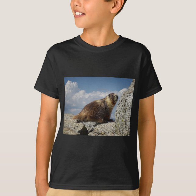 Camiseta Marmote Amarelo-Marmorta em Yosemite (Frente)