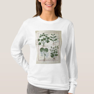 Camiseta Marshmallow & Hastula Regia Asarabacca &