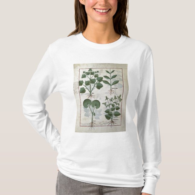 Camiseta Marshmallow & Hastula Regia Asarabacca & (Frente)