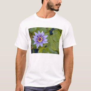 Camiseta Martinique, Antilhas Francesas, Índias Ocidentais,