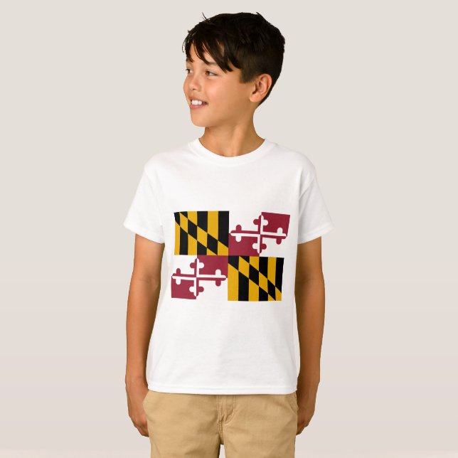 Camiseta Maryland Flag (Frente Completa)