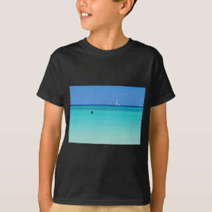 Camiseta Máscaras de Blues.JPG