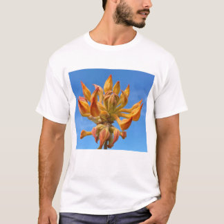 Camiseta masculina com Florida Flame Azalea
