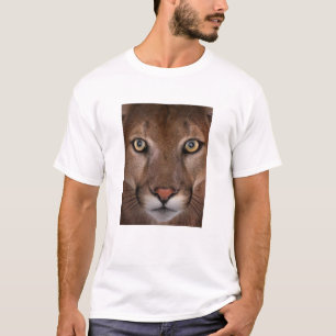 Camiseta masculina do puma