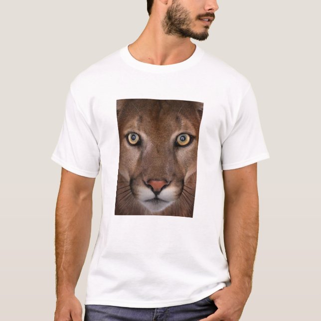 Camiseta masculina do puma (Frente)