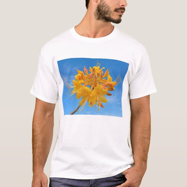 Camiseta masculina (M) com Florida Flame Azalea (Frente)