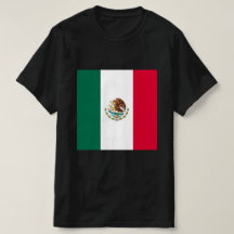 Camiseta Masculina Mexico Pride #2