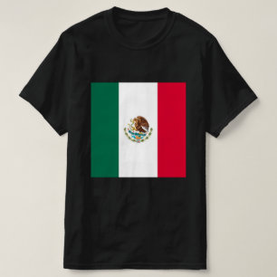 Camiseta Masculina Mexico Pride #2