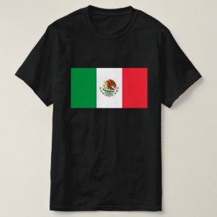 Camiseta Masculina Mexico Pride #3