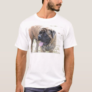 Camiseta Mastiff doce
