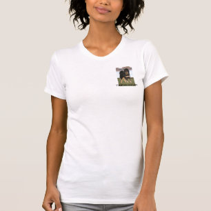 Camiseta MASTIFF TIBETANO, impressão do bolso
