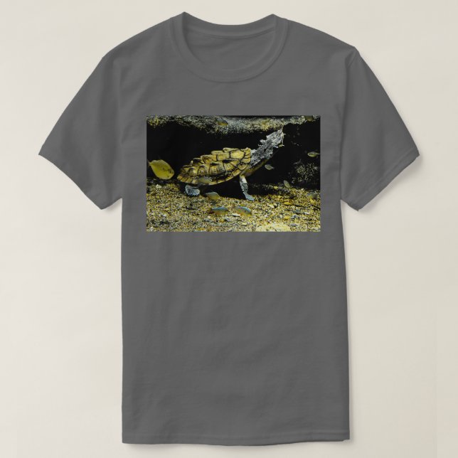 Camiseta Mata Turtle (Frente do Design)