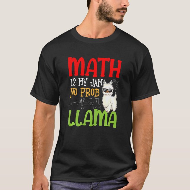 Camiseta Matemática Llama Alpaca Math É Meu Emperramento Se (Frente)
