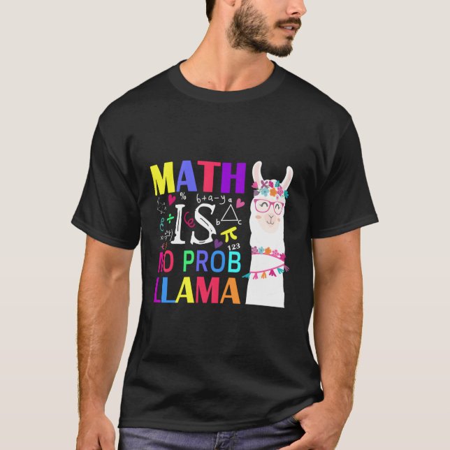 Camiseta Matemática Não É Professor Prob-Llama Estudante Pr (Frente)