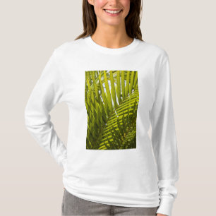 Camiseta Maurícia, Maurícia Central, Moka, palmeira 2