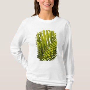 Camiseta Maurícia, Maurícia Central, Moka, palmeira 2
