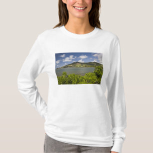 Camiseta Maurícia, Maurícia do Sul, Grand Sable,