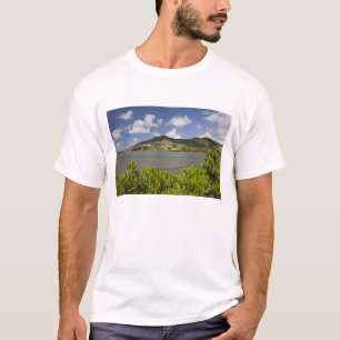 Camiseta Maurícia, Maurícia do Sul, Grand Sable,
