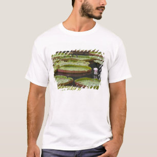 Camiseta Maurícia, Pamplemousses, SSR Botânico